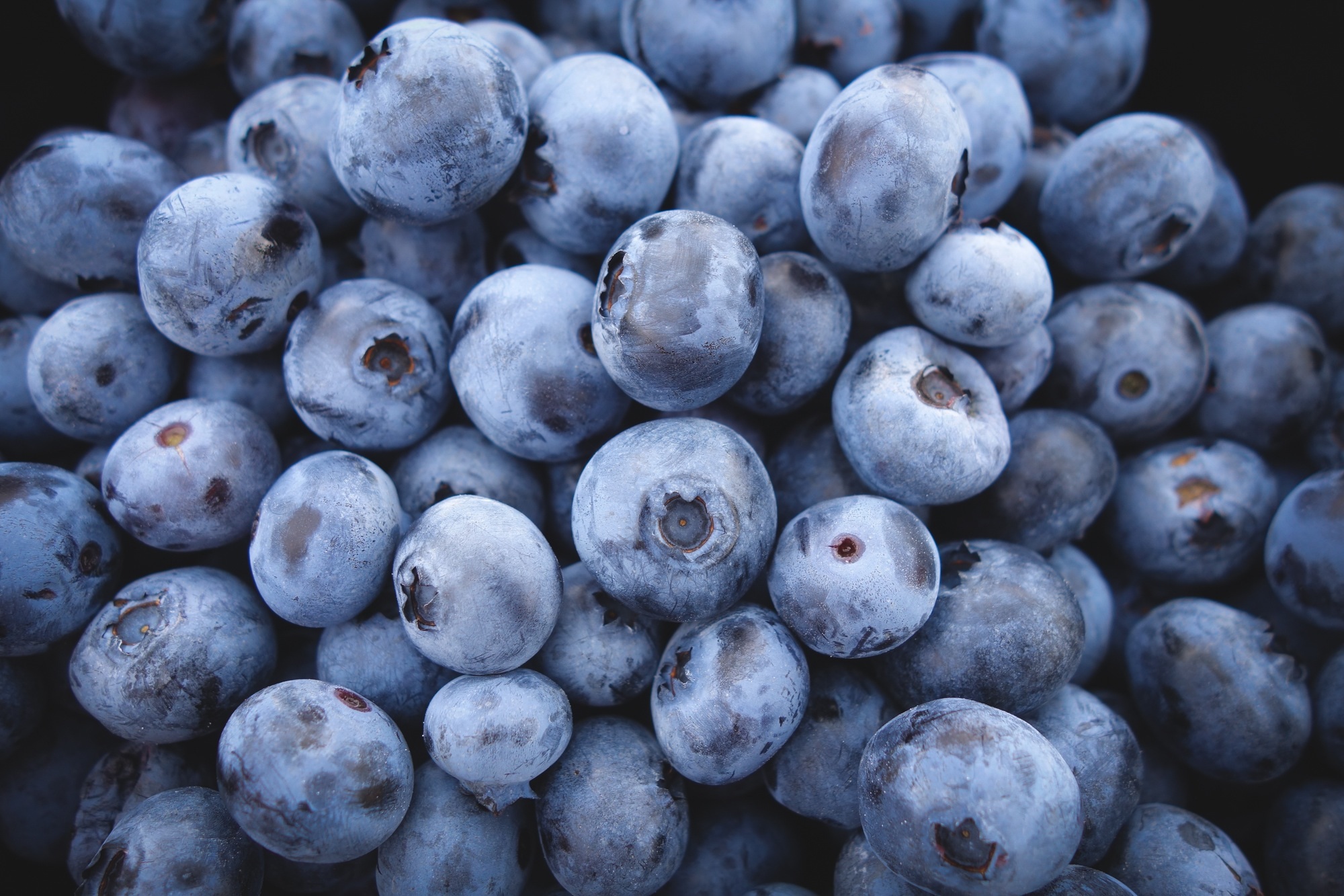 blueberries-690072